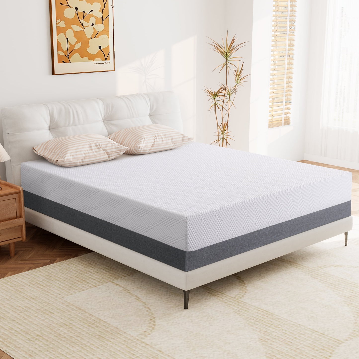 Madinog Queen 10-Inch Cool-Size Medium-Foam Mattress in a Box, Breathable and Non-Slip Design with 10 Year Warranty