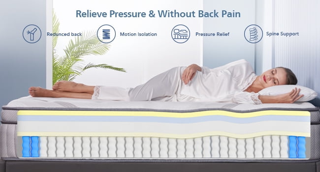 Lechepus 14 Inch Queen Hybrid Memory Foam Mattress with Pocket Springs, Comfortable Sleep and Pain Relief, Boxed